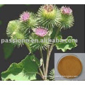 Bulk stock for Burdock Root Extract 10:1,plant extract at lowest price